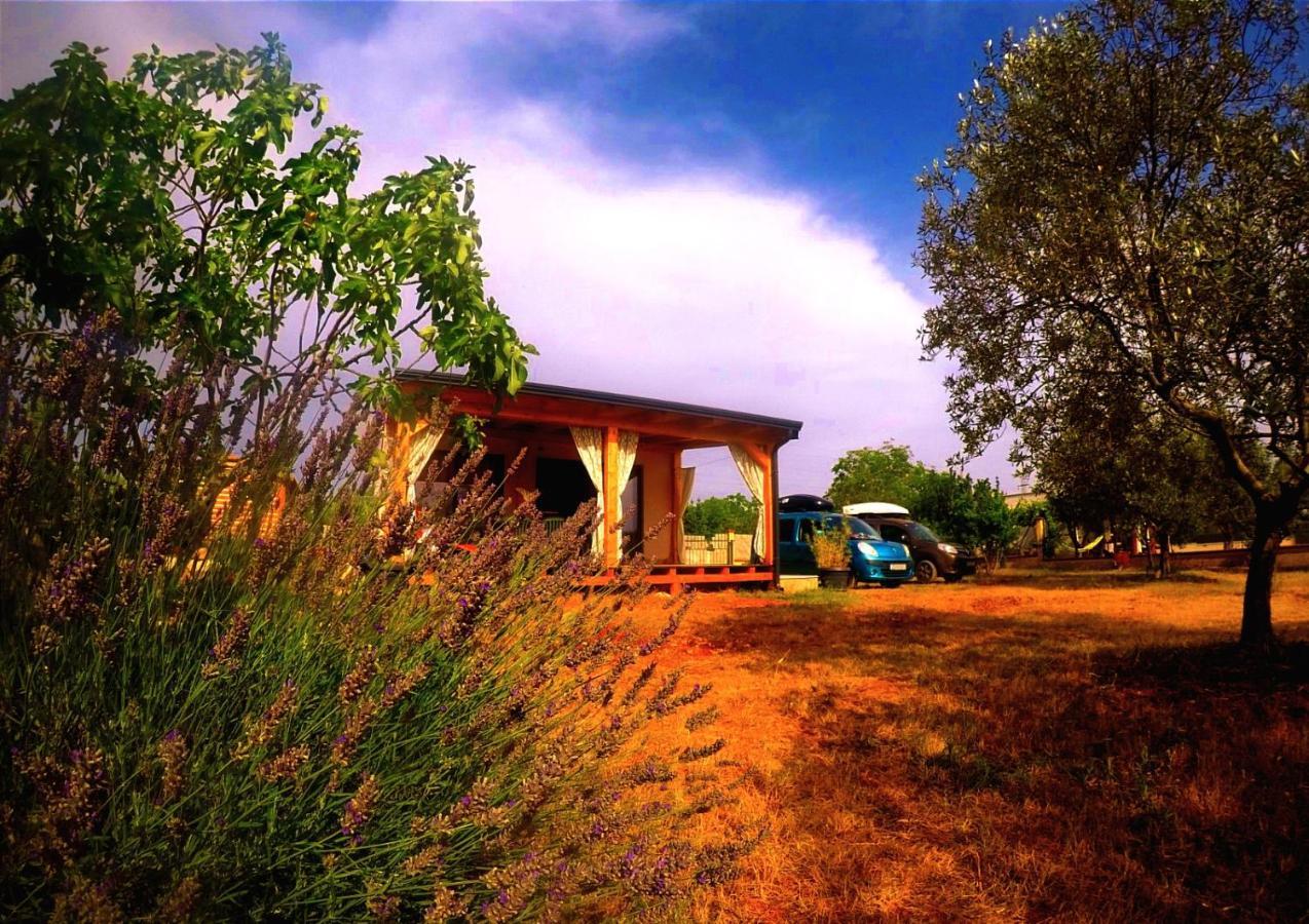 Nature Home Eco-Friendly Pet-Friendly Fazana Exterior photo