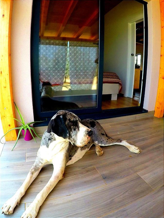 Nature Home Eco-Friendly Pet-Friendly Fazana Exterior photo