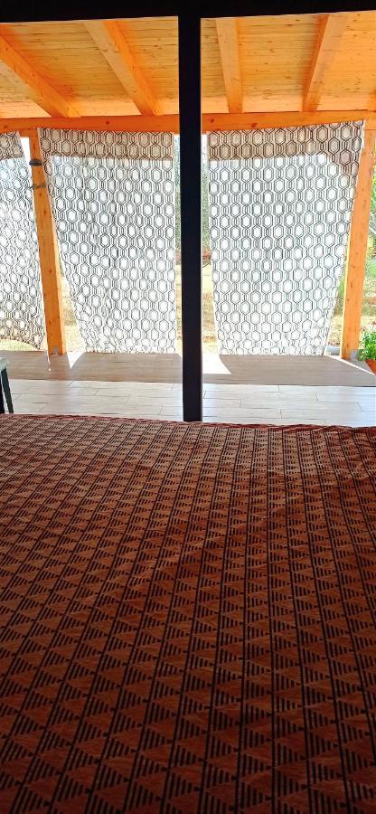 Nature Home Eco-Friendly Pet-Friendly Fazana Exterior photo